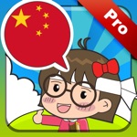 Chinese master Pro