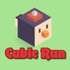 Cubic Run Arcade