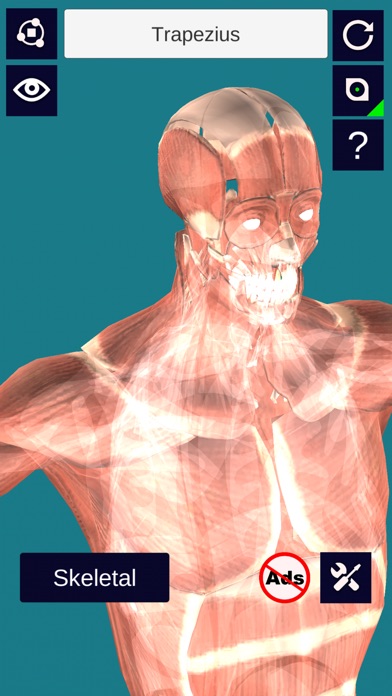 3D Anatomy + screenshot 4