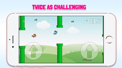 2 Floppy Birds - Double the challenge Screenshot 1
