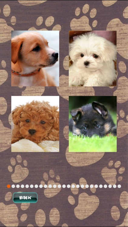 Cute Puppies Puzzle