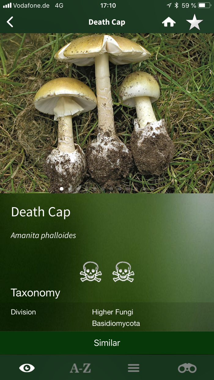 Mushroom Guide British Isles