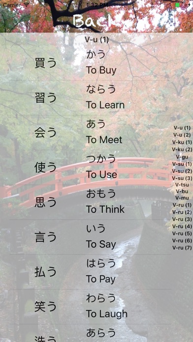 Kan-G Verbs screenshot 4
