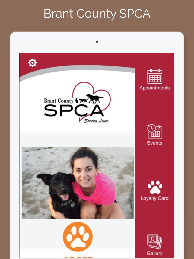 Brant Spca Dogs 2025