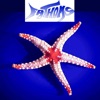 Fathoms Aquatics