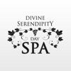 Divine Serendipity Day Spa