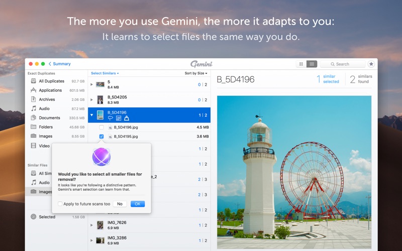 Gemini_2_The_Duplicate_Finder.app caprure 5 5_Gemini_2_The_Duplicate_Finder.jpg