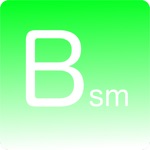 BSM Survey