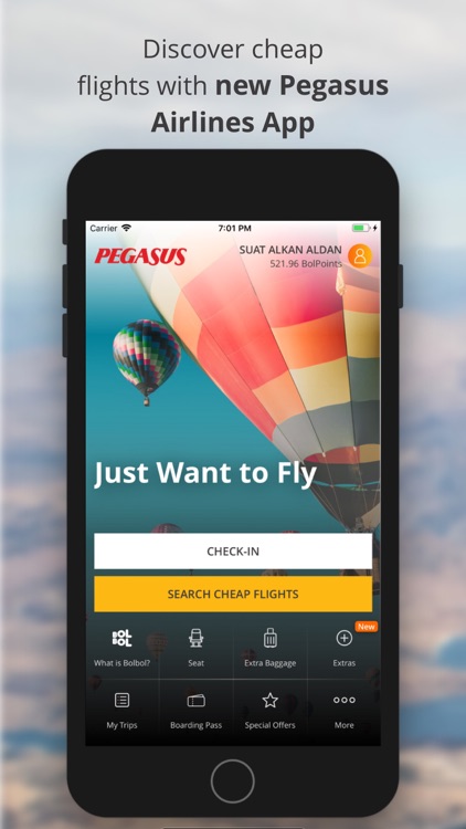 Cheap Flight Tickets | Pegasus screenshot-0