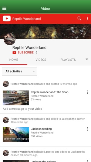 Reptile Wonderland(圖3)-速報App