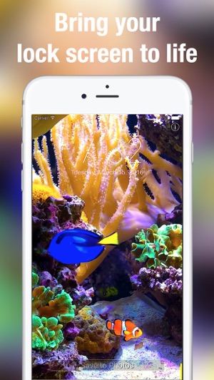 Aquarium Dynamic Wallpapers on the App