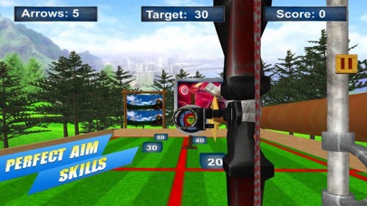 Archery Target Master Pro screenshot 2