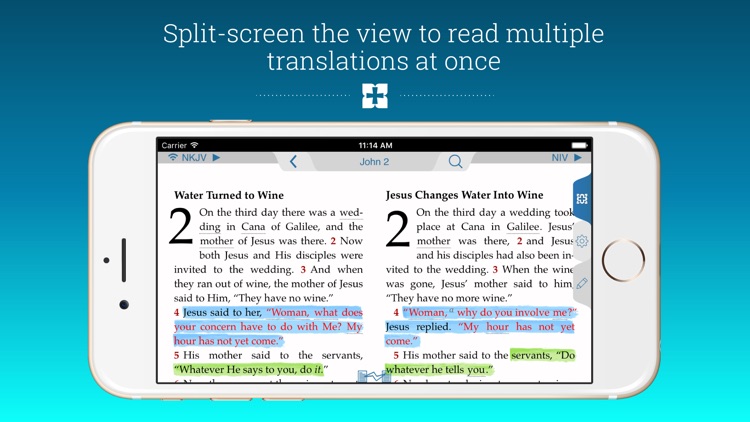 NIV Study Bible screenshot-3