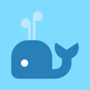 no app image