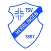 TSV Herrlingen 1897 Fußball