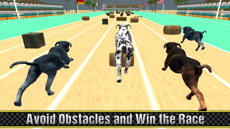 Lava Super Hound Racing