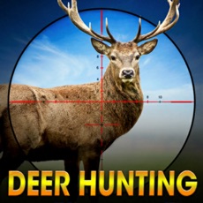 Activities of Deer Hunting Wild Animal Shoot