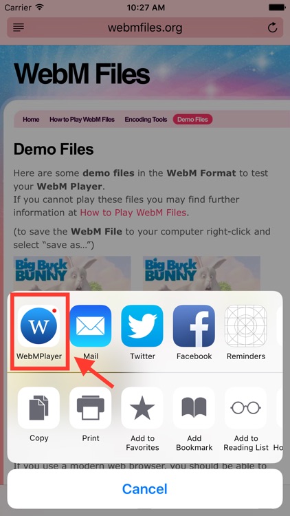 WebM Player Extension