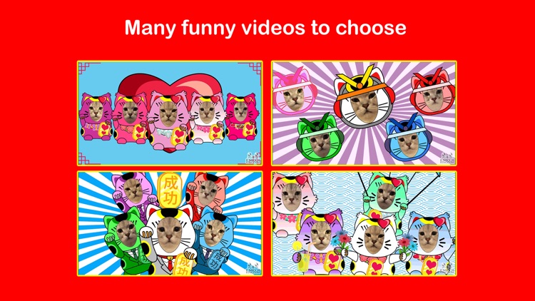 Videomoji Lucky Cats