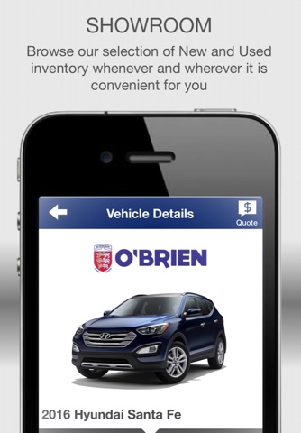 O'Brien Auto Park screenshot 3