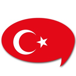 トルコ語検定単語テスト