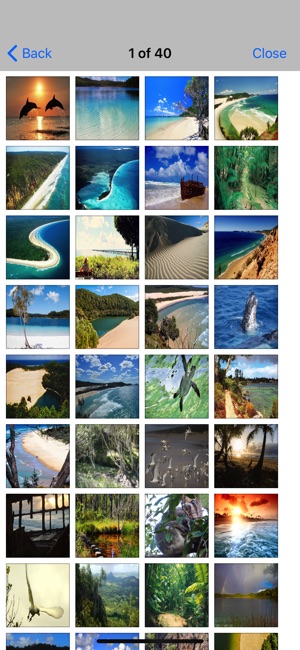 Fraser Island Travel - Guide(圖5)-速報App