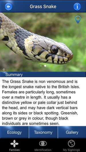 Reptile Id - UK Field Guide(圖2)-速報App