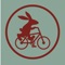 Running along the scenic Reedy River on a historic rail bed, the Greenville Health System Swamp Rabbit Trail Network is a 22 mile multi-use greenway system