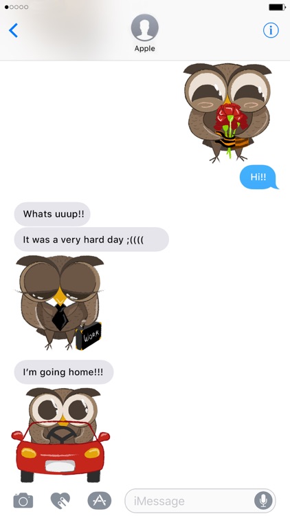 Cute Owls - Funny Owls