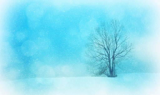 Wonderful Winter HD icon