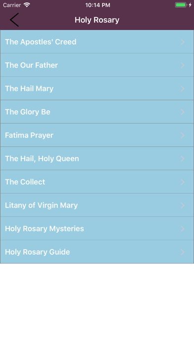 Catholic Essentials screenshot1