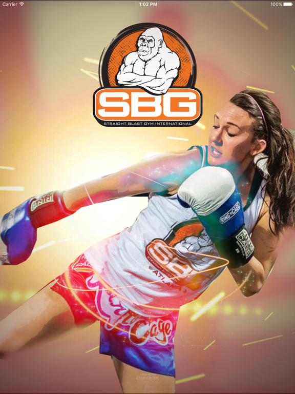 SBG Atlanta screenshot 2