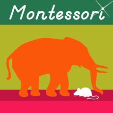 Activities of Opposites - A Montessori Pre-Language Exercise
