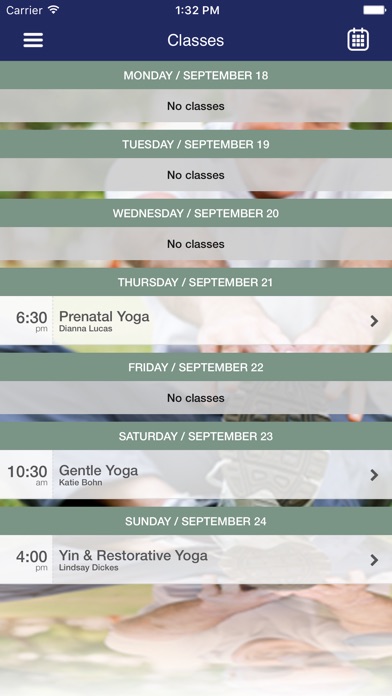 Indigo Massage and Wellness screenshot 3