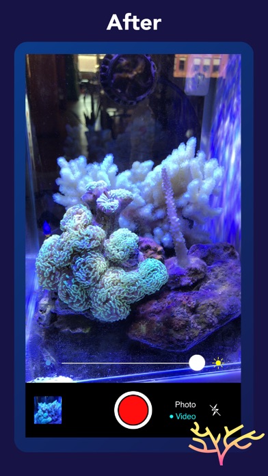 Aquarium Camera screenshot 2