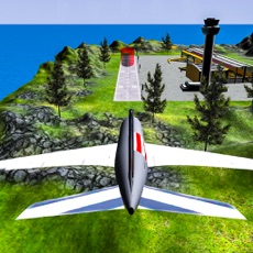 Activities of Tourist Airplane Flight Sim 3D