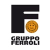 Grupo Ferroli Instaladores