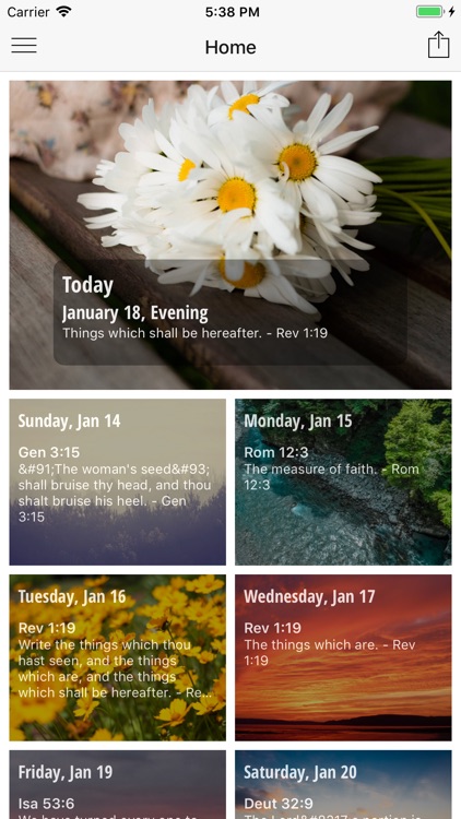 Daily Light Daily Path - Lite