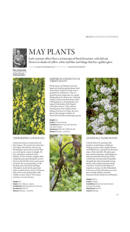 Gardens Illustrated screenshot-3