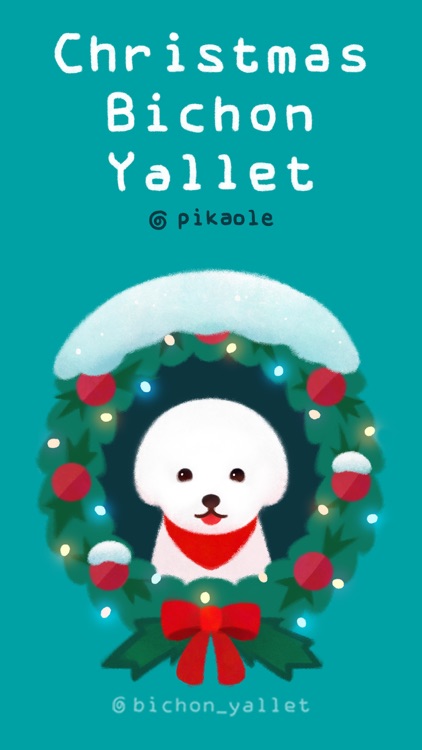 Christmas bichon Yallet