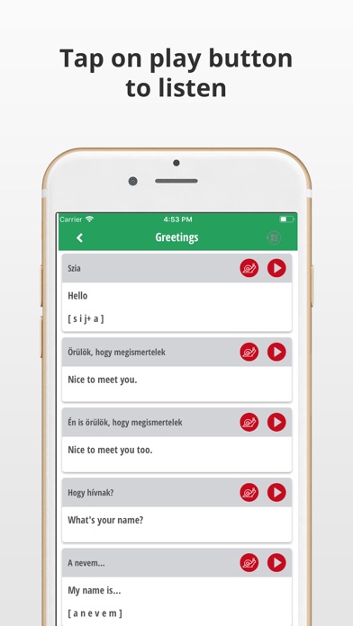 Learn Hungarian Language App screenshot 4