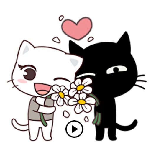 Animated Lovely Couple Cats