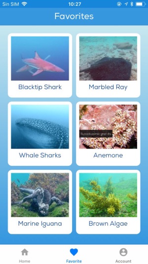 Galapagos Sea Life(圖4)-速報App