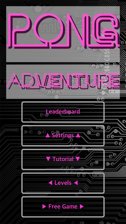 Pong Adventure