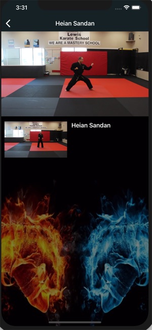 Lewis Karate Schools(圖5)-速報App