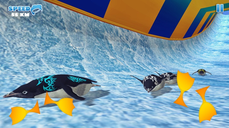 Penguin Waterslide Dash 2018 screenshot-4