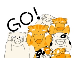 Go! Cats - Animated Stickers