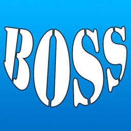 BOSS战