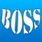 八个BOSS