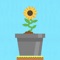 Swipe to destroy the blocks and find a way for the water to feed the flower